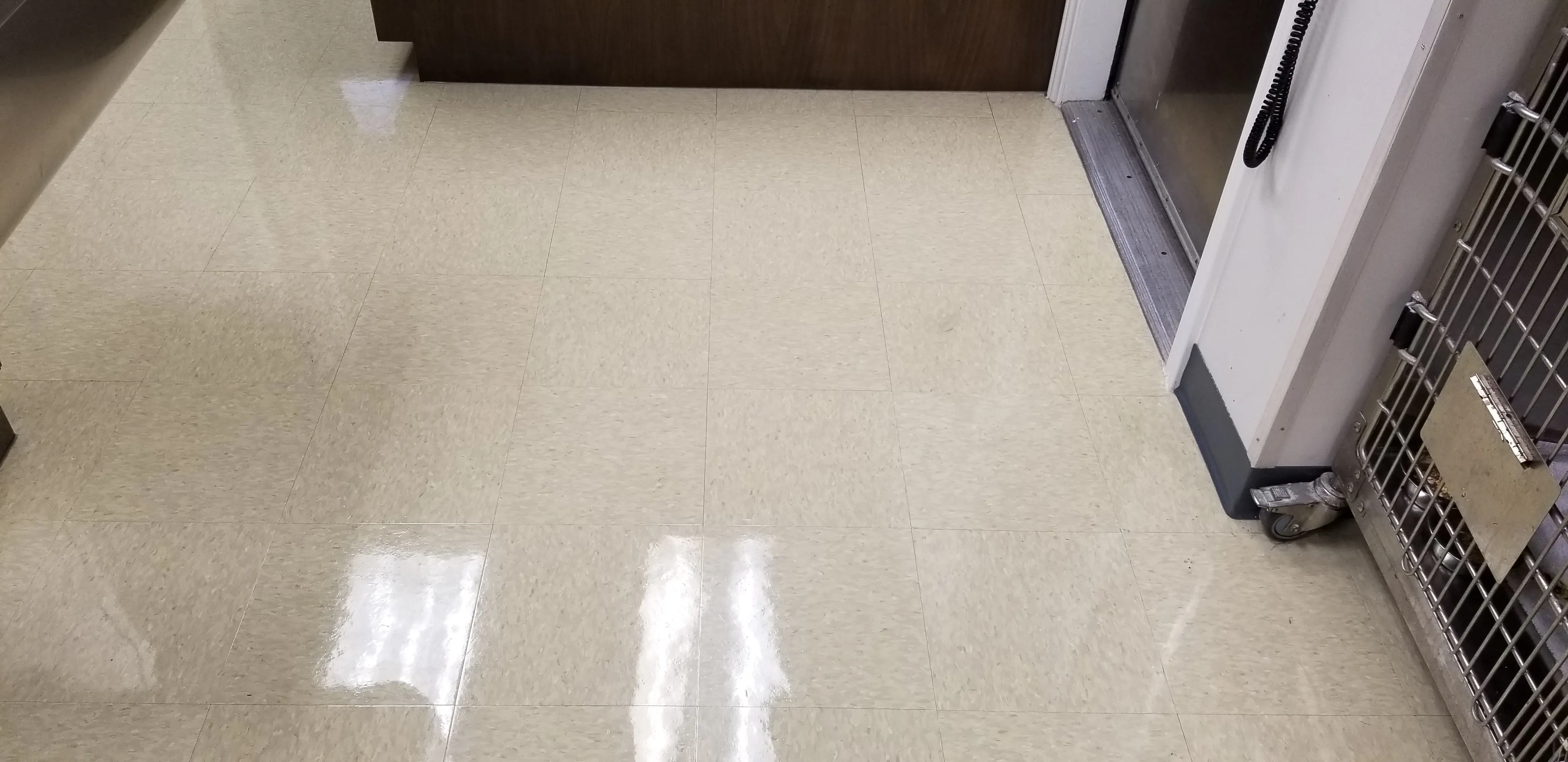 VCT flooring stripped and waxed at a San Antonio veterinary clinic