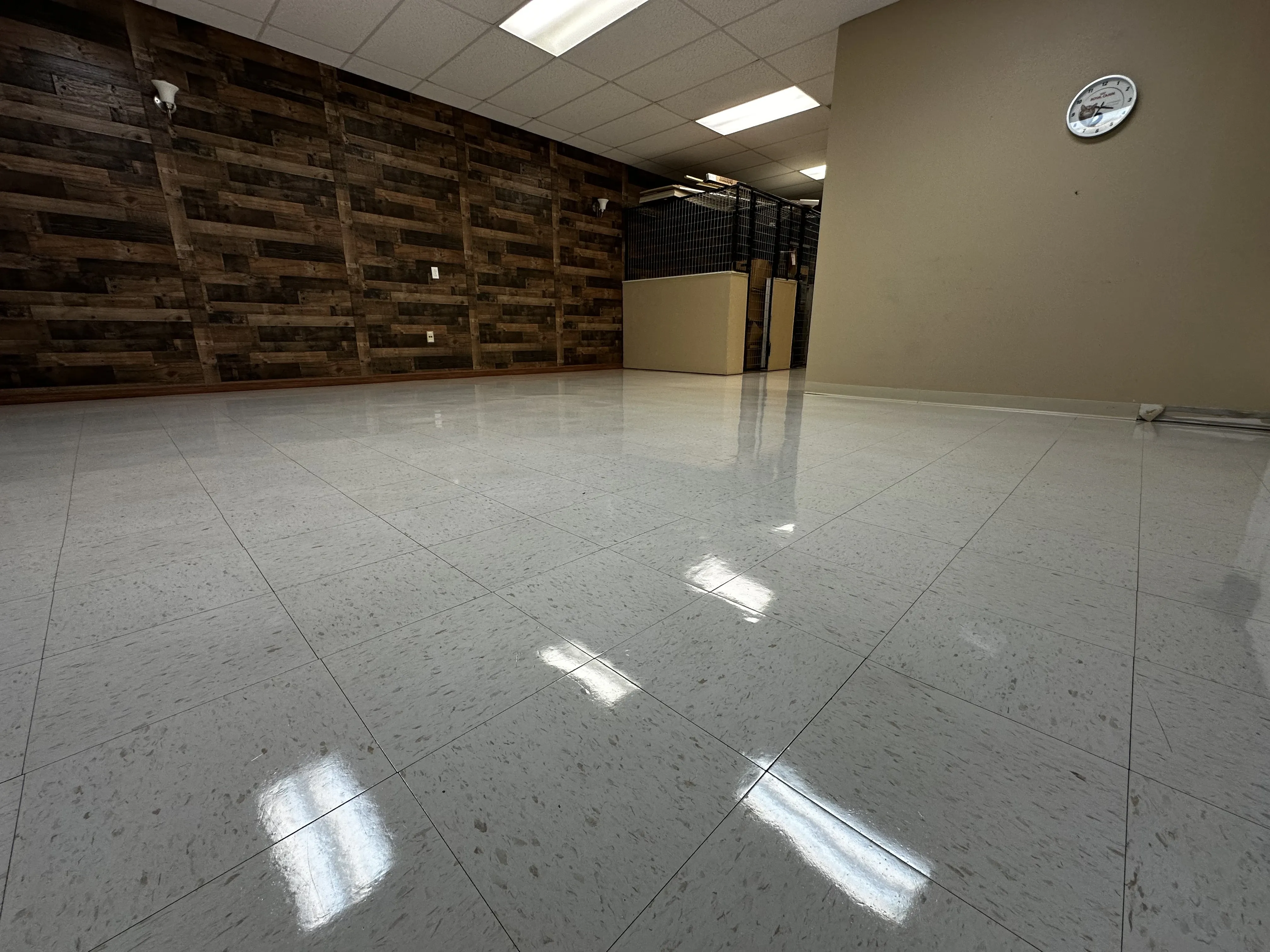 Veterinary clinic VCT flooring stripped, waxed, and ready for traffic